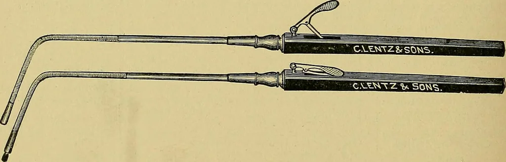 An illustration from A text-book of diseases of the nose and throat, 1904, leaf 601