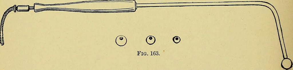 An illustration from A text-book of diseases of the nose and throat, 1904, leaf 603
