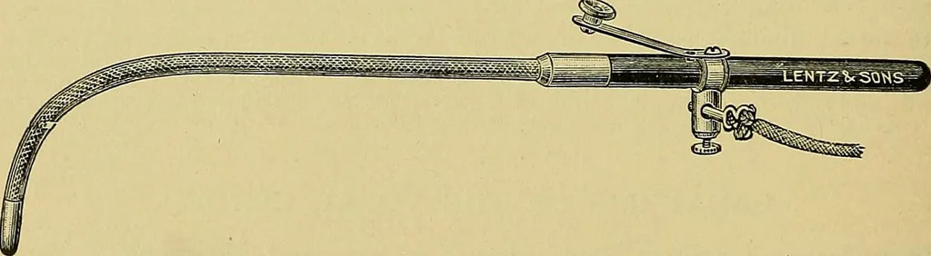 An illustration from A text-book of diseases of the nose and throat, 1904, leaf 619