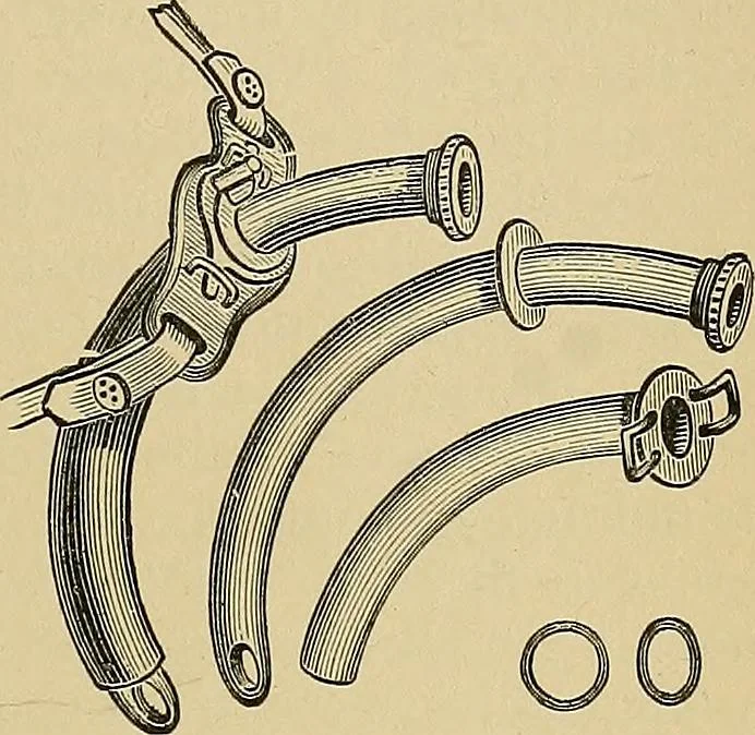 An illustration from A text-book of diseases of the nose and throat, 1904, leaf 636
