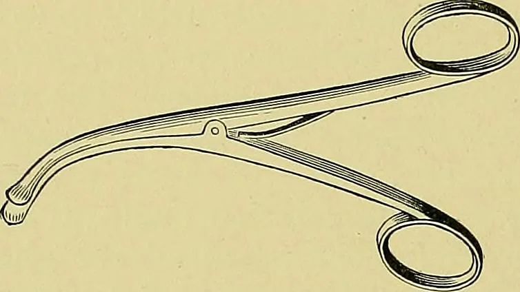 An illustration from A text-book of diseases of the nose and throat, 1904, leaf 639