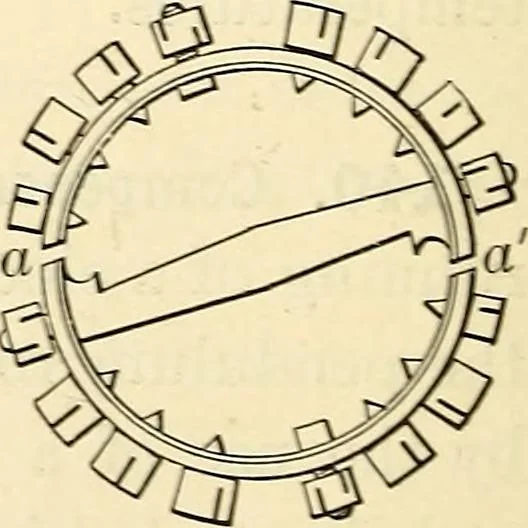 An illustration from Text-book of general physics, for the use of colleges and scientific schools, 1899, leaf 195
