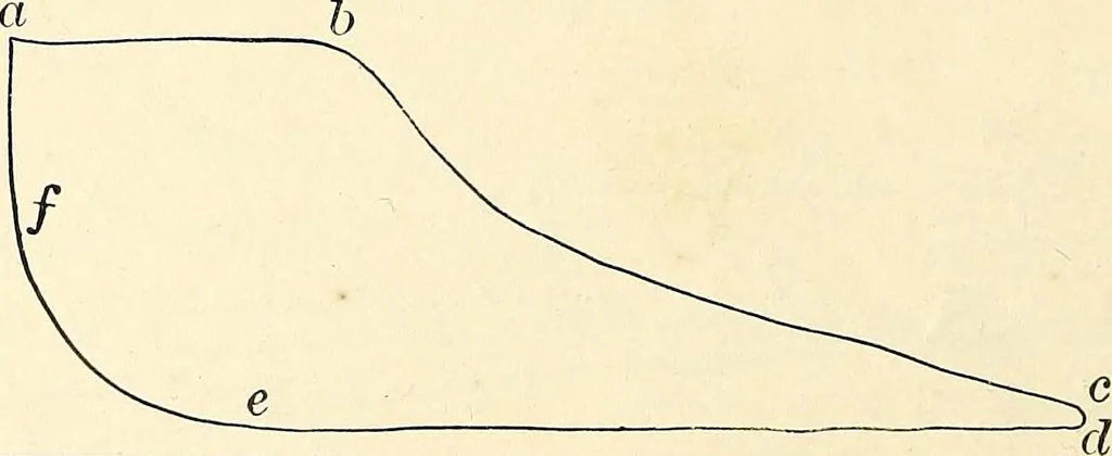 An illustration from Text-book of general physics, for the use of colleges and scientific schools, 1899, leaf 283
