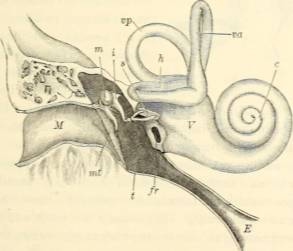 An illustration from Text-book of general physics, for the use of colleges and scientific schools, 1899, leaf 596