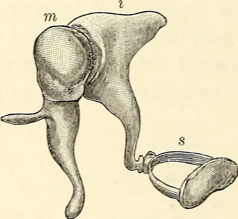 An illustration from Text-book of general physics, for the use of colleges and scientific schools, 1899, leaf 597