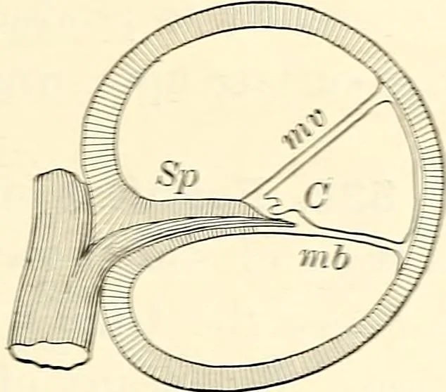 An illustration from Text-book of general physics, for the use of colleges and scientific schools, 1899, leaf 598