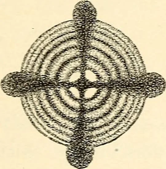 An illustration from Text-book of general physics, for the use of colleges and scientific schools, 1899, leaf 752