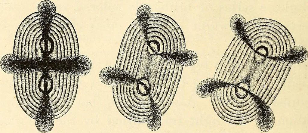 An illustration from Text-book of general physics, for the use of colleges and scientific schools, 1899, leaf 753