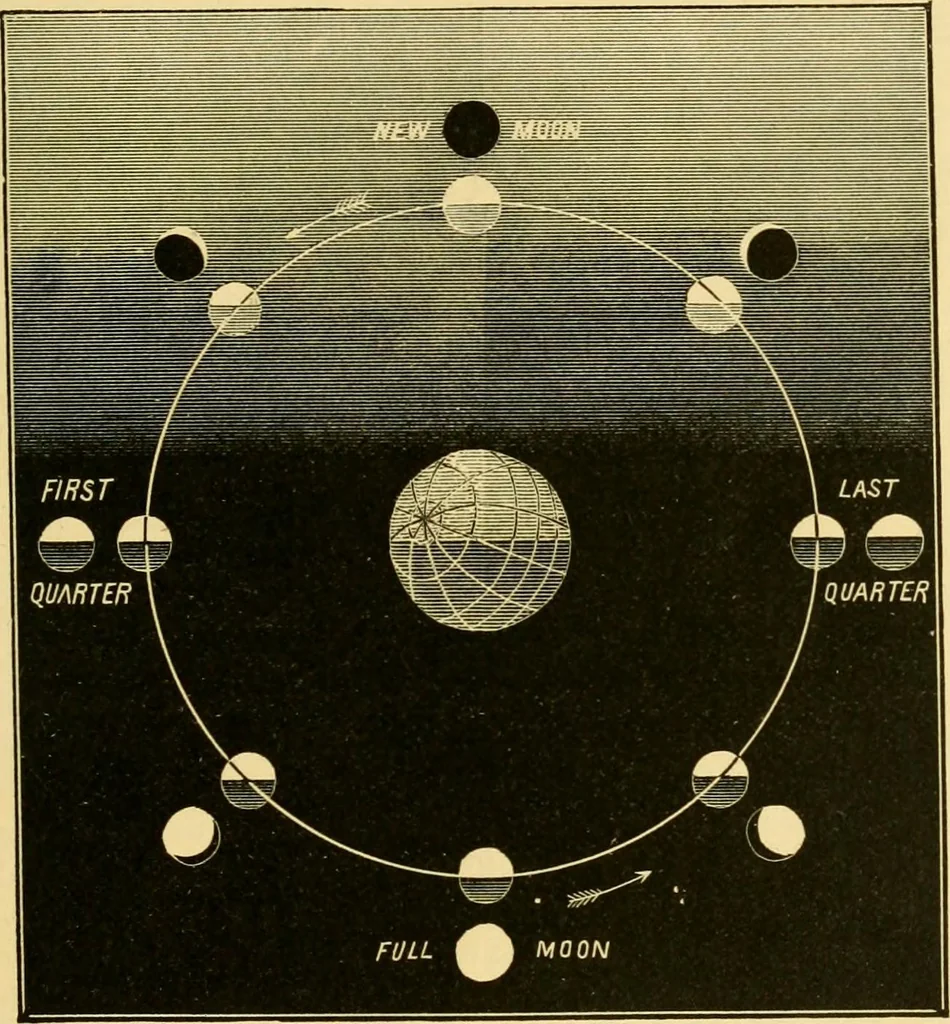 An illustration from A text-book of general astronomy : for colleges and scientific schools, 1888, leaf 170