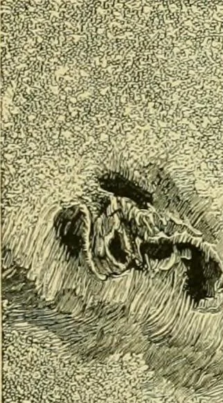 An illustration from A text-book of general astronomy : for colleges and scientific schools, 1888, leaf 196
