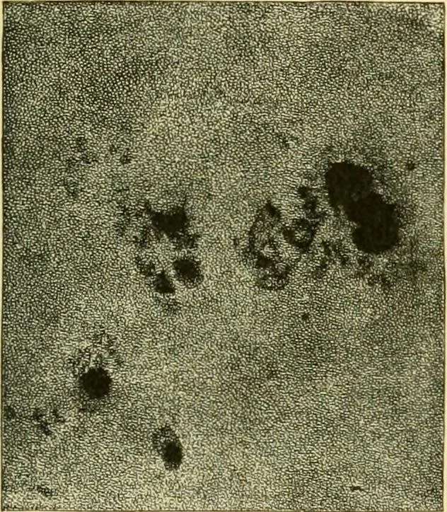 An illustration from A text-book of general astronomy : for colleges and scientific schools, 1888, leaf 214