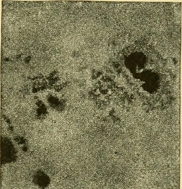 An illustration from A text-book of general astronomy : for colleges and scientific schools, 1888, leaf 214