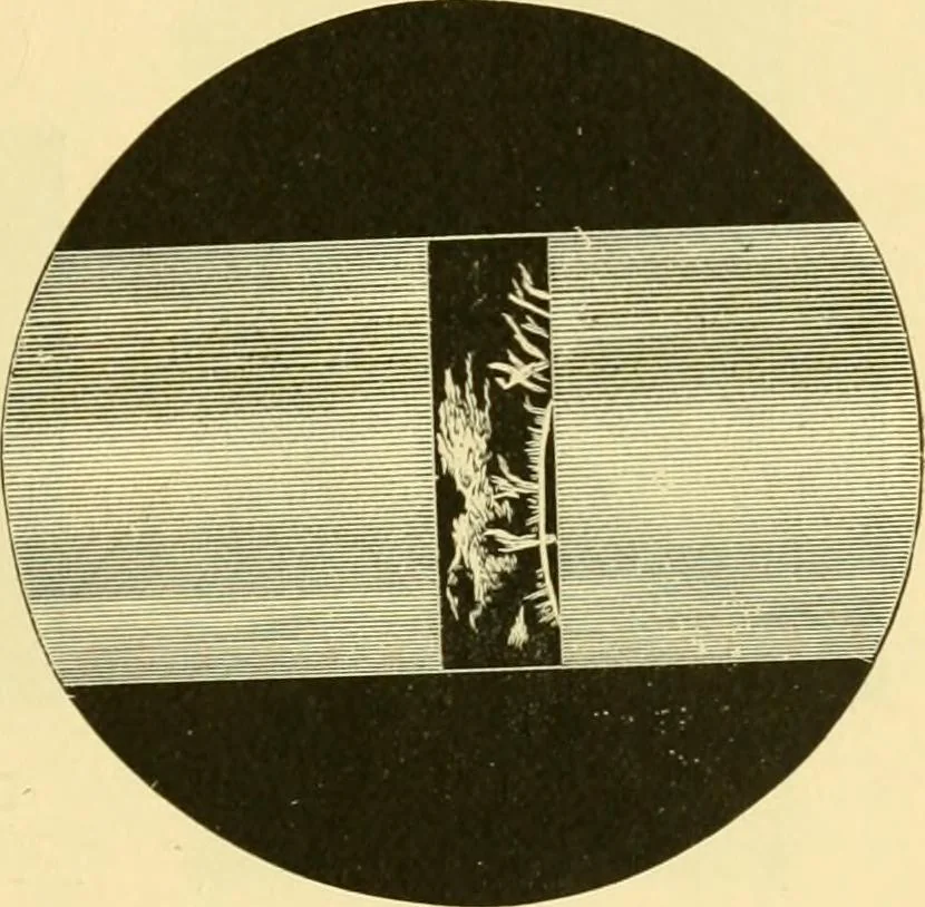 An illustration from A text-book of general astronomy : for colleges and scientific schools, 1888, leaf 218