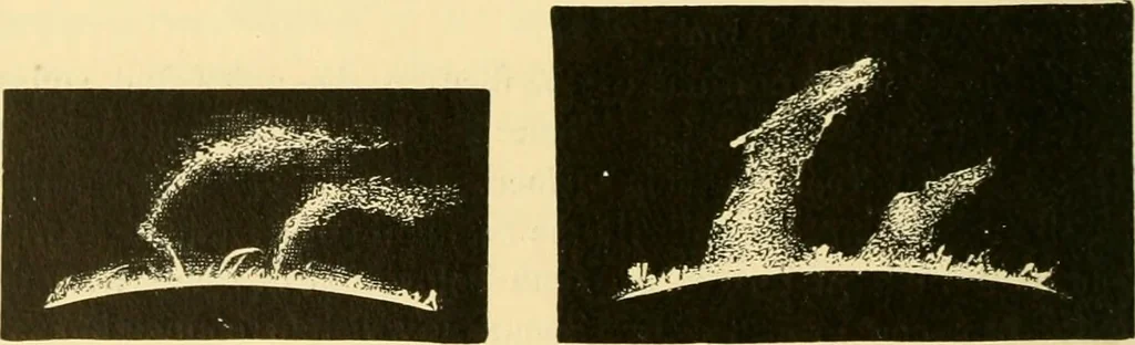 An illustration from A text-book of general astronomy : for colleges and scientific schools, 1888, leaf 219
