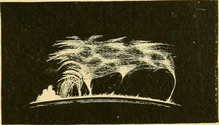 An illustration from A text-book of general astronomy : for colleges and scientific schools, 1888, leaf 220