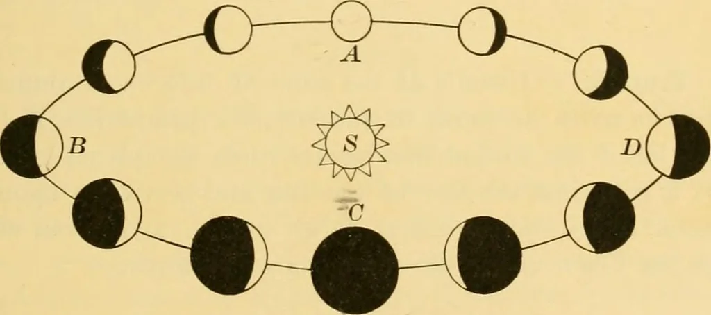 An illustration from A text-book of general astronomy : for colleges and scientific schools, 1888, leaf 338