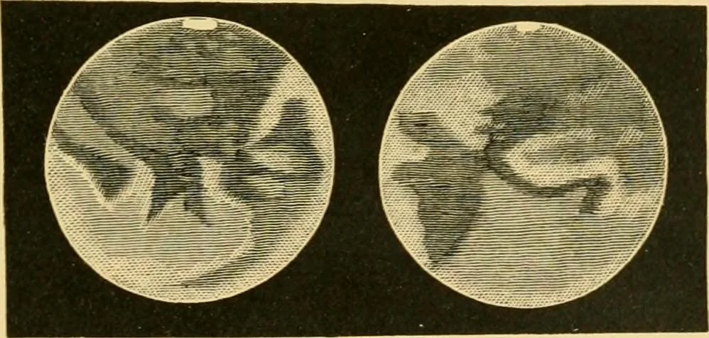 An illustration from A text-book of general astronomy : for colleges and scientific schools, 1888, leaf 348