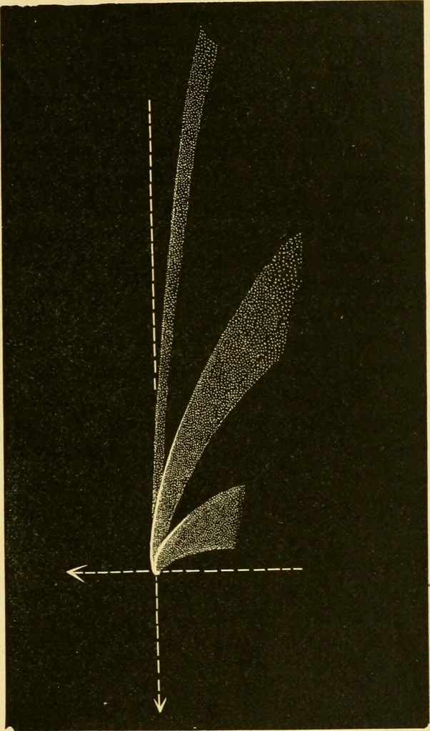 An illustration from A text-book of general astronomy : for colleges and scientific schools, 1888, leaf 428