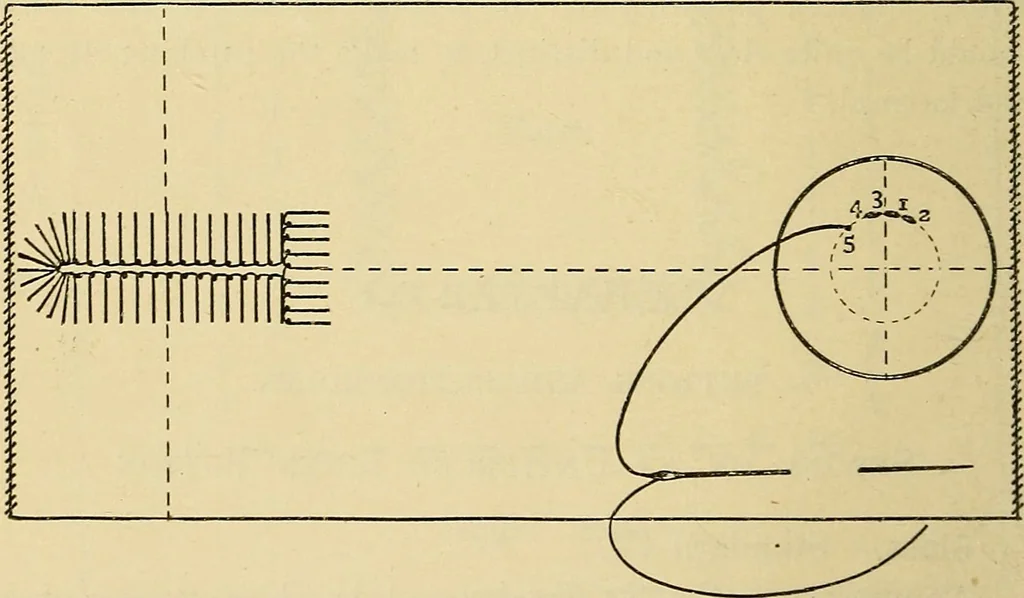 An illustration from A text-book of needlework, knitting and cutting out : with methods of teaching, 1893, leaf 139