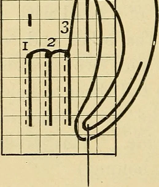 An illustration from A text-book of needlework, knitting and cutting out : with methods of teaching, 1893, leaf 145
