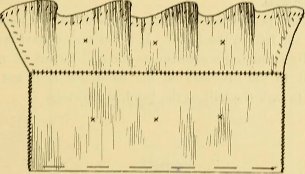 An illustration from A text-book of needlework, knitting and cutting out : with methods of teaching, 1893, leaf 226