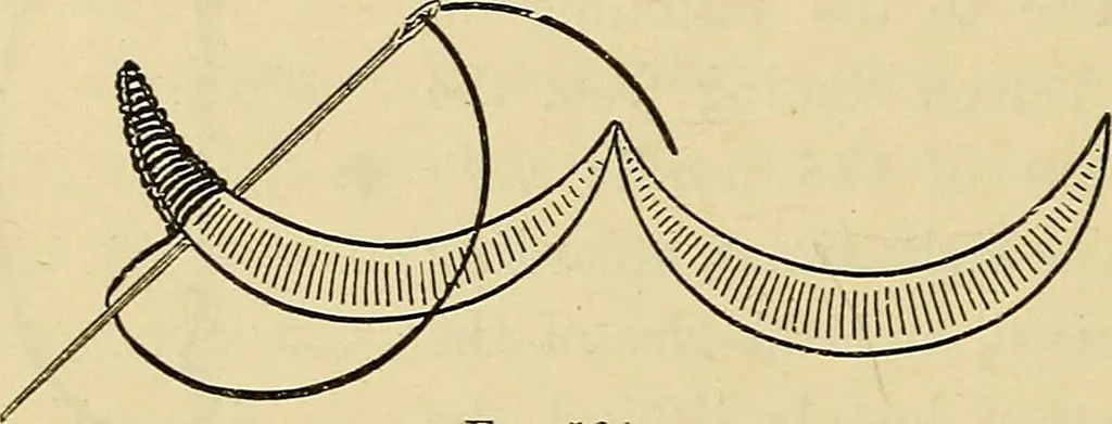 An illustration from A text-book of needlework, knitting and cutting out : with methods of teaching, 1893, leaf 247