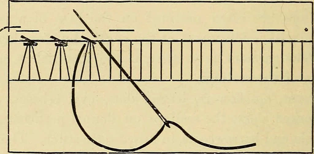 An illustration from A text-book of needlework, knitting and cutting out : with methods of teaching, 1893, leaf 249