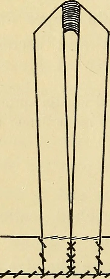 An illustration from A text-book of needlework, knitting and cutting out : with methods of teaching, 1893, leaf 307