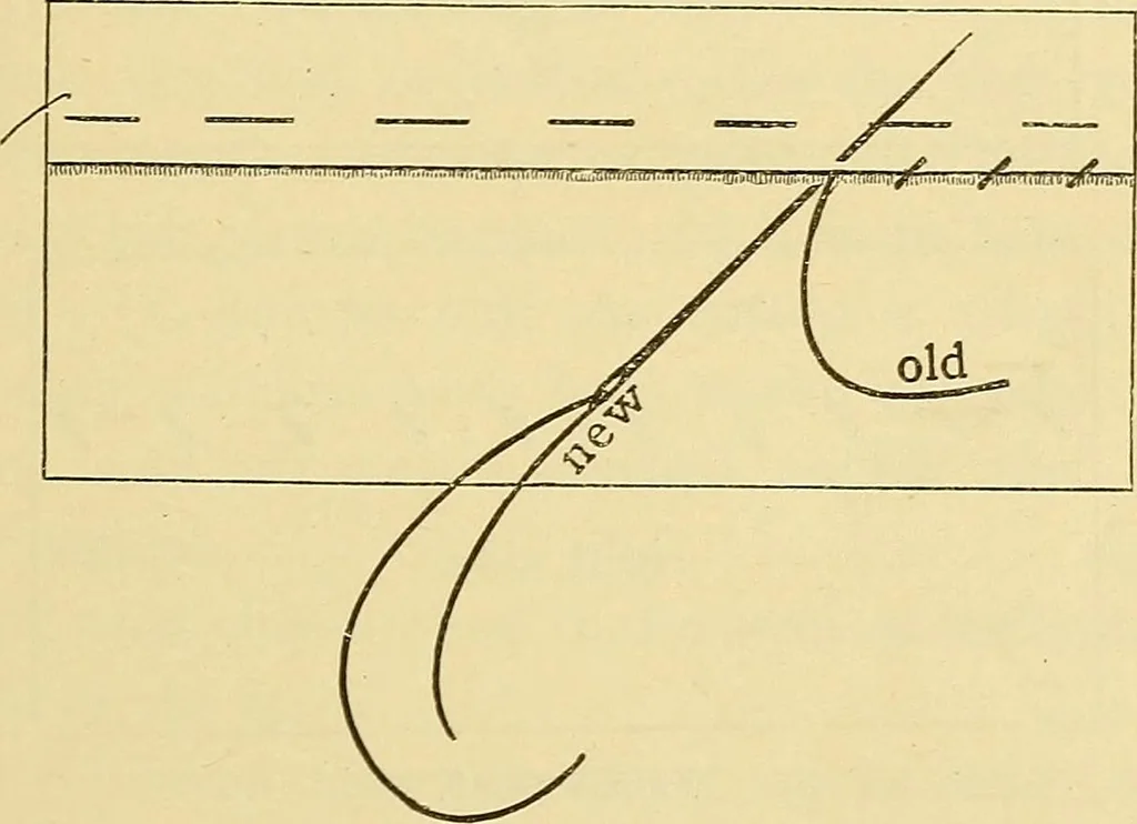 An illustration from A text-book of needlework, knitting and cutting out : with methods of teaching, 1893, leaf 50