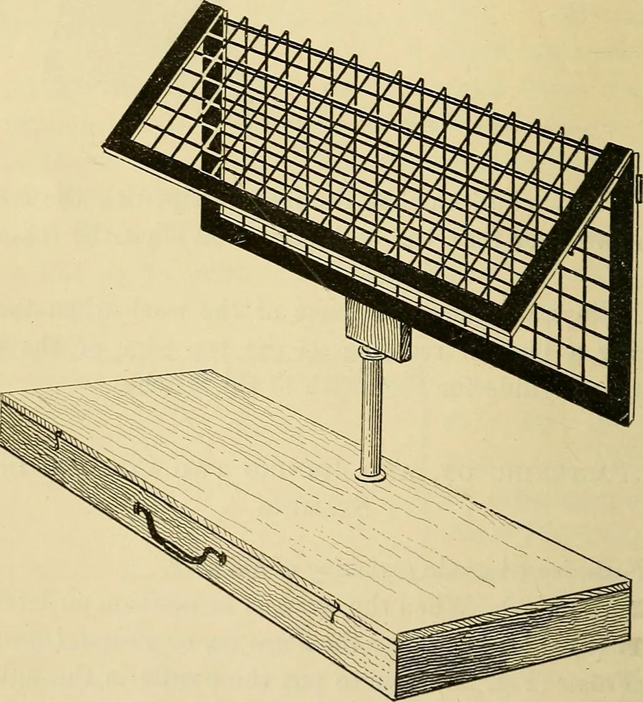 An illustration from A text-book of needlework, knitting and cutting out : with methods of teaching, 1893, leaf 77