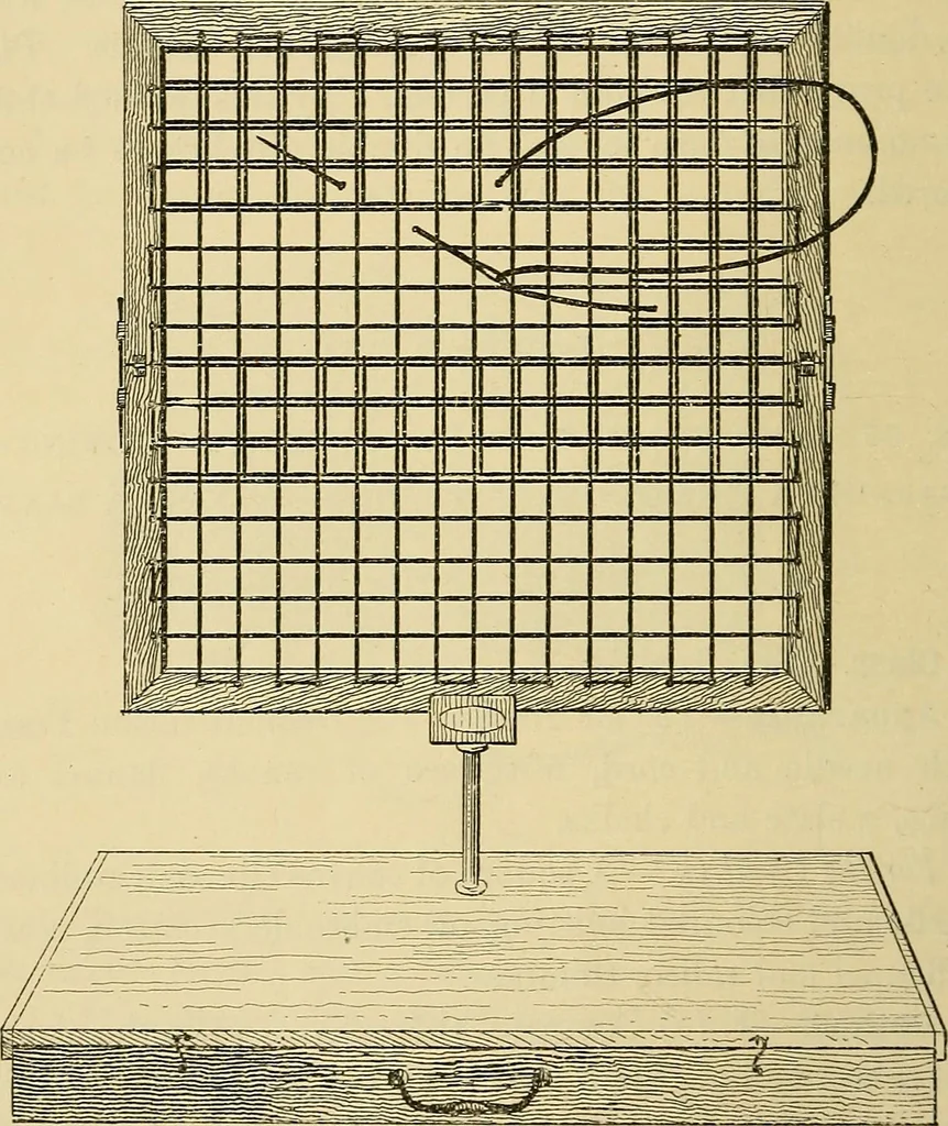 An illustration from A text-book of needlework, knitting and cutting out : with methods of teaching, 1893, leaf 87