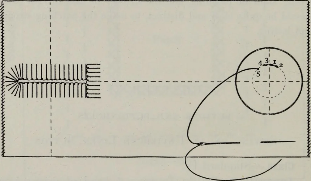 An illustration from A text-book of needlework, knitting, and cutting out : with methods of teaching, 1893, leaf 139