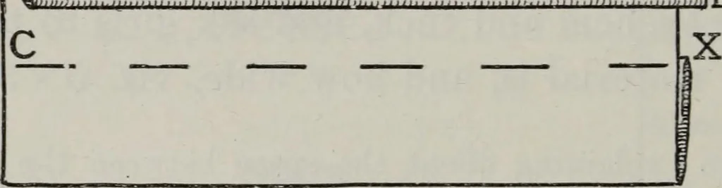 An illustration from A text-book of needlework, knitting, and cutting out : with methods of teaching, 1893, leaf 189
