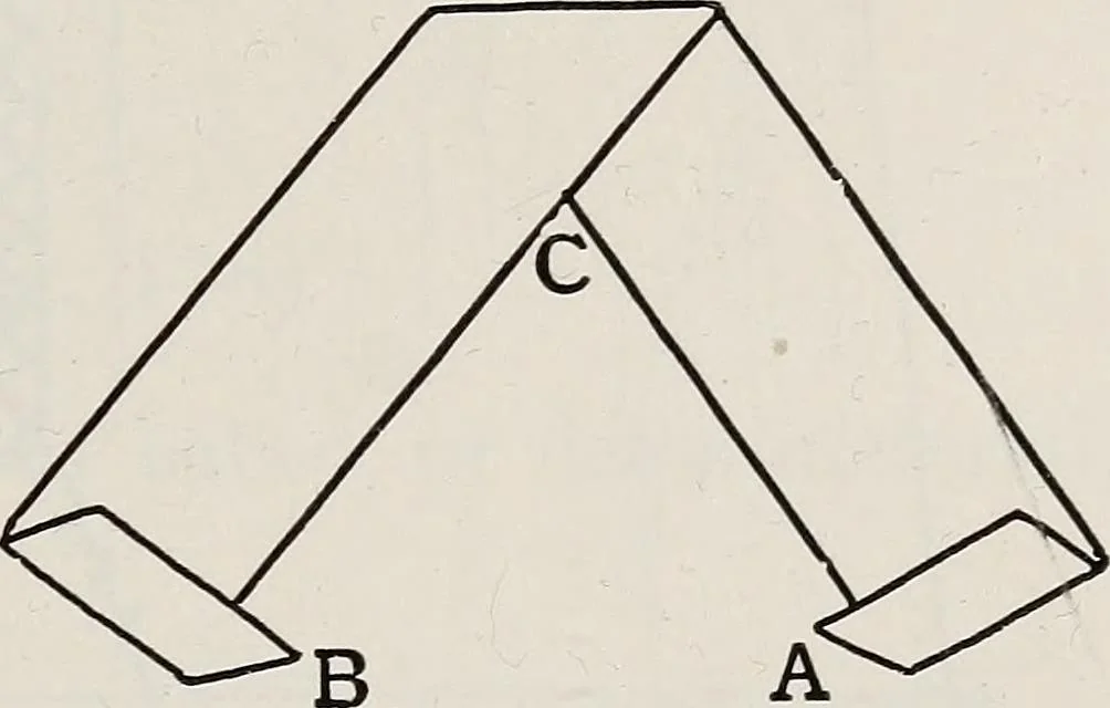 An illustration from A text-book of needlework, knitting, and cutting out : with methods of teaching, 1893, leaf 238