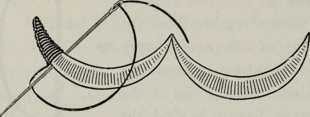 An illustration from A text-book of needlework, knitting, and cutting out : with methods of teaching, 1893, leaf 251