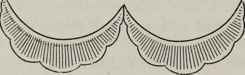 An illustration from A text-book of needlework, knitting, and cutting out : with methods of teaching, 1893, leaf 251