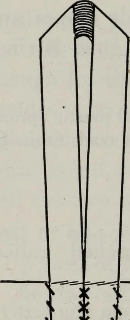 An illustration from A text-book of needlework, knitting, and cutting out : with methods of teaching, 1893, leaf 311