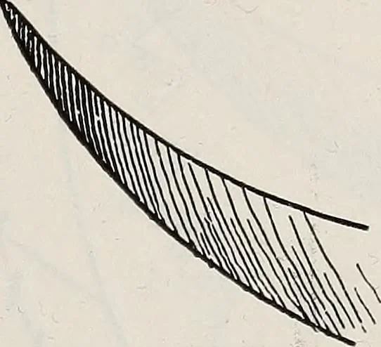 An illustration from A text-book of needlework, knitting, and cutting out : with methods of teaching, 1893, leaf 326