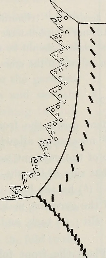 An illustration from A text-book of needlework, knitting, and cutting out : with methods of teaching, 1893, leaf 328