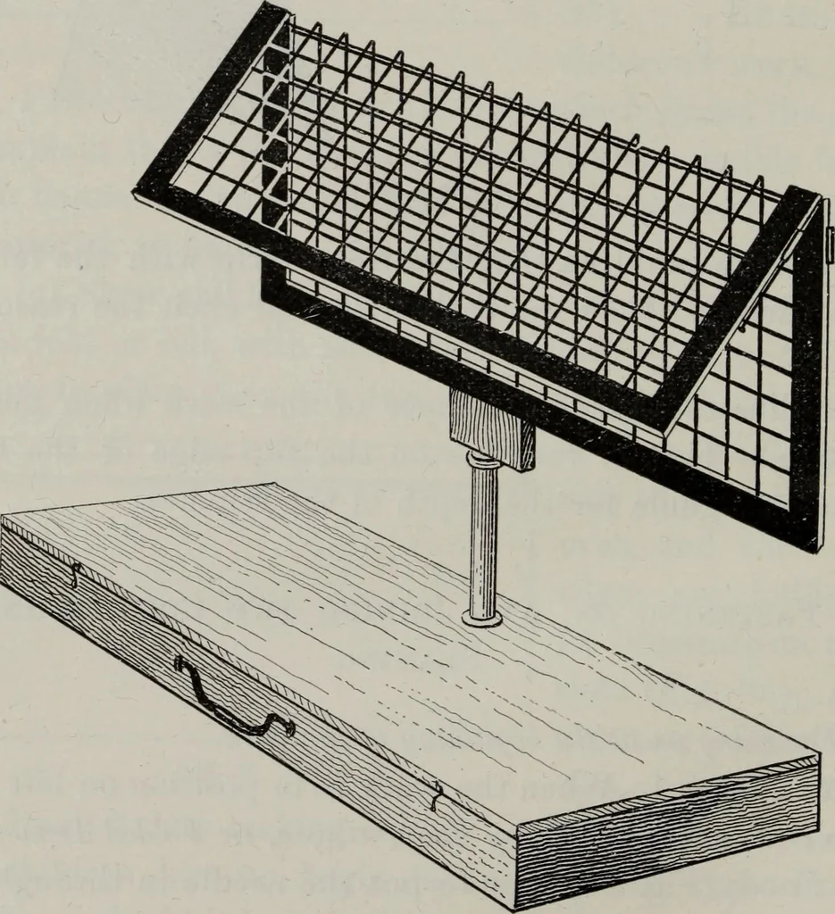 An illustration from A text-book of needlework, knitting, and cutting out : with methods of teaching, 1893, leaf 77