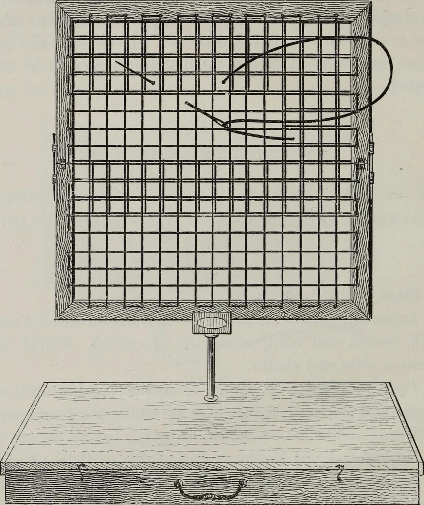 An illustration from A text-book of needlework, knitting, and cutting out : with methods of teaching, 1893, leaf 87