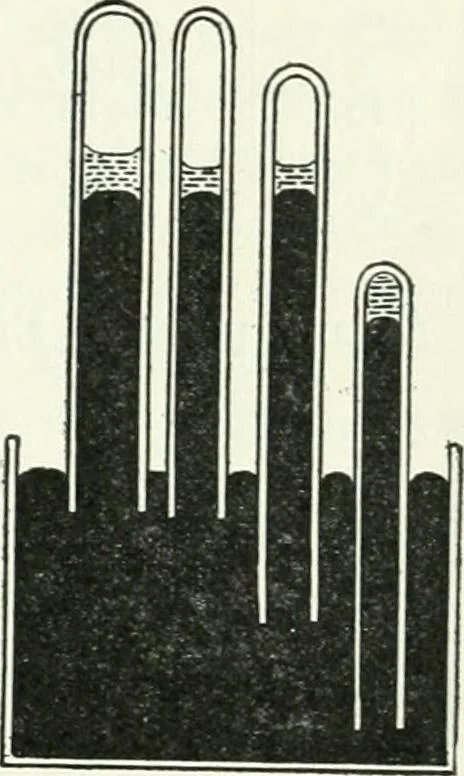 An illustration from A text-book of physics, 1908, leaf 242
