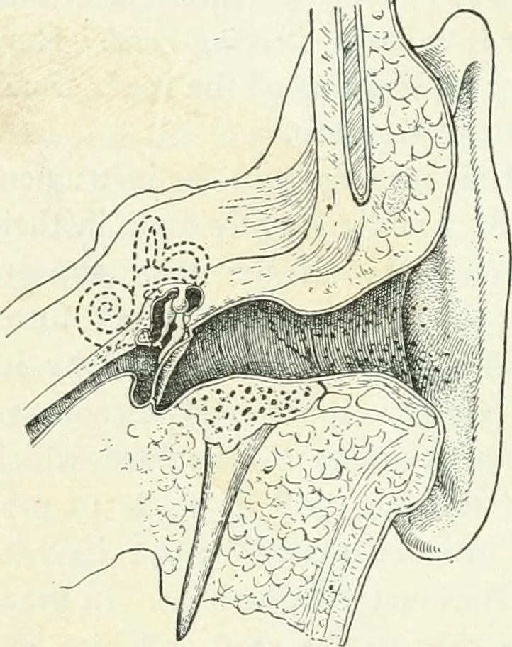 An illustration from A text-book of physics, 1908, leaf 343