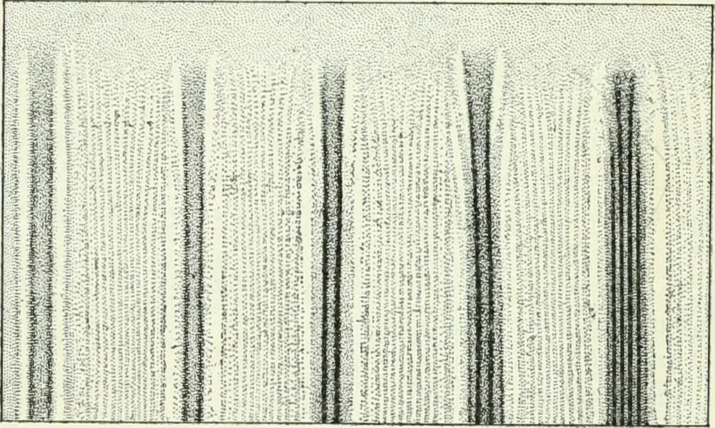 An illustration from A text-book of physics, 1908, leaf 425
