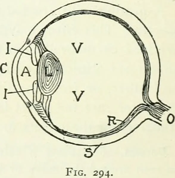 An illustration from A text-book of physics, 1908, leaf 429