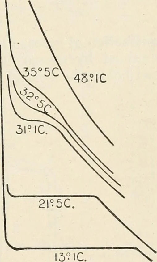 An illustration from A text book of physics, for the use of students of science and engineering, 1918, leaf 510