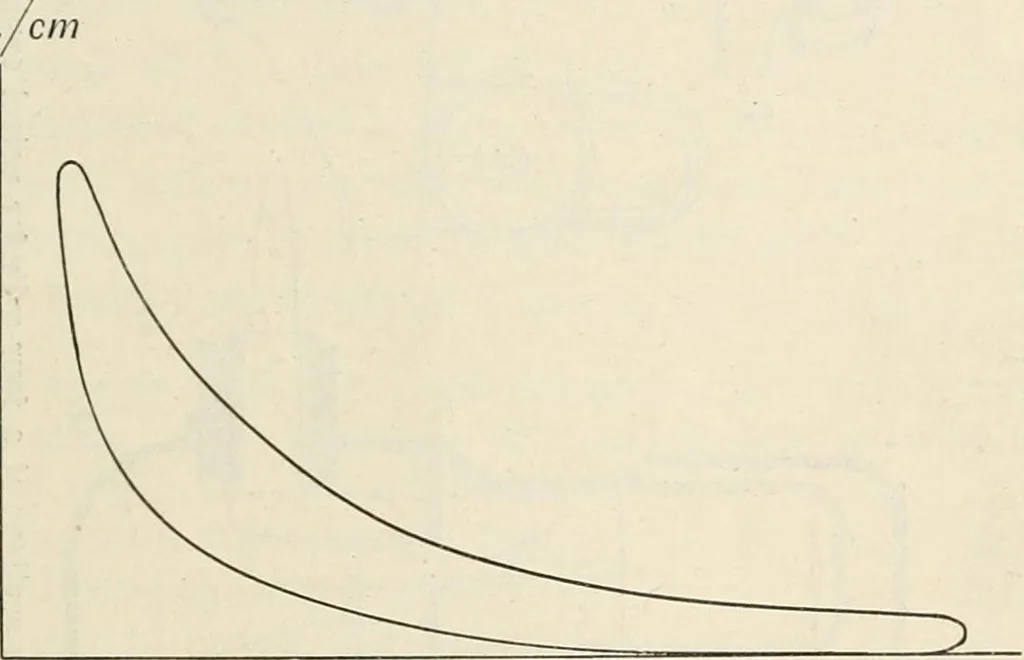 An illustration from A text book of physics, for the use of students of science and engineering, 1918, leaf 552
