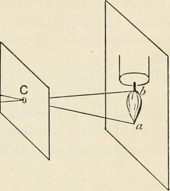 An illustration from A text book of physics, for the use of students of science and engineering, 1918, leaf 566