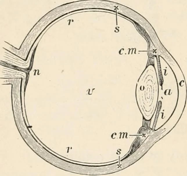An illustration from A text book of physics, for the use of students of science and engineering, 1918, leaf 631