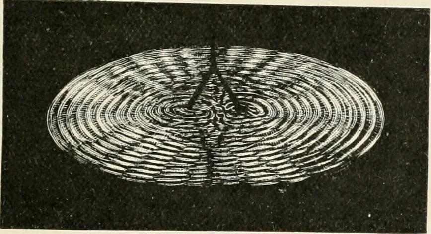 An illustration from A text book of physics, for the use of students of science and engineering, 1918, leaf 732
